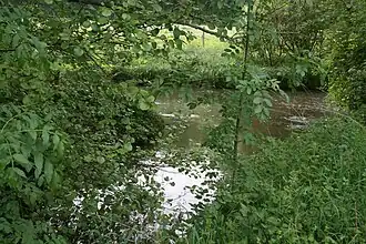 Confluence du Lunain et du Loingà Moret-Loing-et-Orvanne.