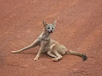 Description de cette image, également commentée ci-après