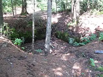 Lyle Mine, une des anciennes mines d'or des Gold Mine Sites.