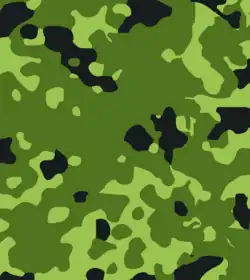 Camouflage M/84