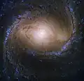 M91 imagée par le télescope spatial Hubble.