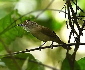 Description de cette image, également commentée ci-après