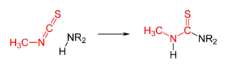 MITC et une amine secondaire réagissent pour former une thiourée.