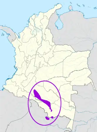 Image illustrative de l’article Witoto minica