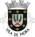Blason de Mora