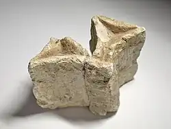 Élément de décor architectural.