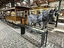 Tramways Bruxelles, chevaline n° 31