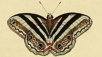 Description de cette image, également commentée ci-après