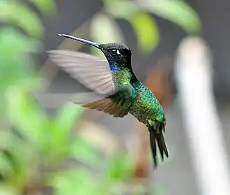 Description de cette image, également commentée ci-après