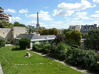 Le jardin en été.