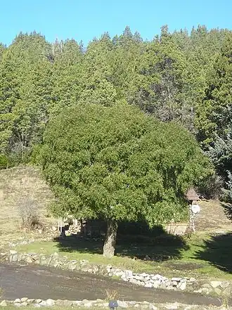 Description de cette image, également commentée ci-après