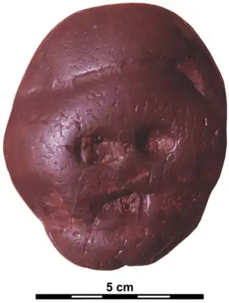 Image illustrative de l’article Galet de Makapansgat