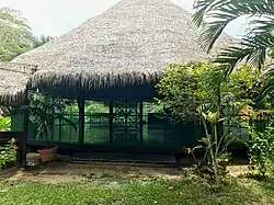 Centre de médecine ayahuasca.