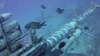 Le canon de la mitrailleuse