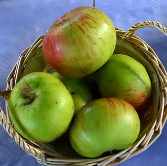Pommes « Jacques Lebel »