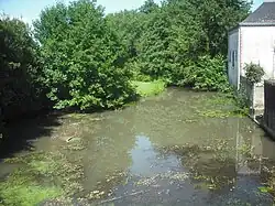 Le Mandit peu avant le confluent avec l'Erdre.