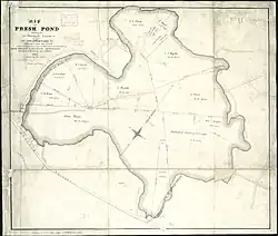 Carte d'un lac avec des lignes délimitant les différentes propriétés
