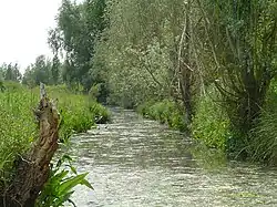 Le marais audomarois, près de Saint-Omer.