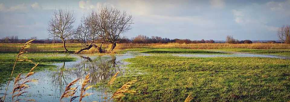 Le marais de Varreville en hiver.