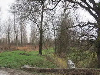 Partie asséchée du marais des Échets.