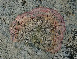 Description de cette image, également commentée ci-après