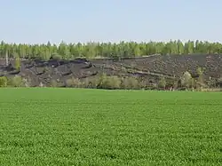 Le terril no&nbsp;143A.