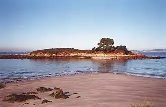 Image illustrative de l’article Île de San Clemente