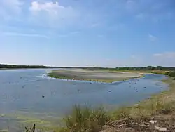 Le parc ornithologique (Marquenterre) à l'embouchure du fleuve et de la Maye.