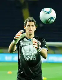 Image illustrative de l’article Martín Silva