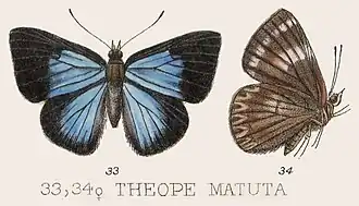 Description de cette image, également commentée ci-après