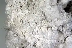 Image illustrative de l’article Mcallistérite