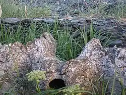 Fosse de stockage de viande.