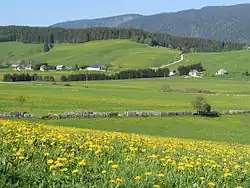 Chemin lauzé à Méaudre, en Vercors.