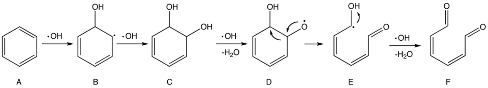 Hypothèse de mécanisme pour l'oxydation du benzène par les radicaux hydroxyle.