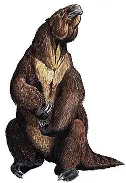 Reconstitution d'un Megatherium