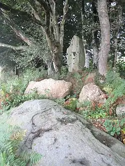 Image illustrative de l’article Alignement de Guernangoué