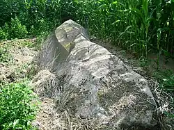 Le menhir de la Pierre Saint-Martin.