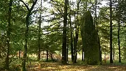 Menhir de Colého.