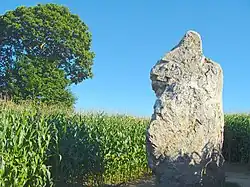 Menhir de La Pierre Longue.
