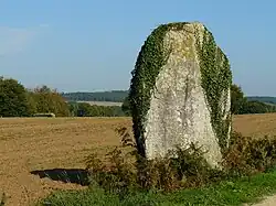 Menhir de Lann-Douar.