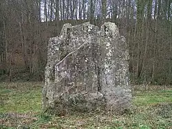 Le menhir de Pierrelaye.