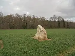 Image illustrative de l’article Menhir du Croc