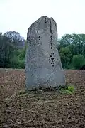 L'un des deux menhirs de Kernars.