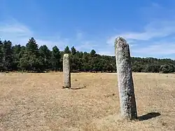 Les deux menhirs du plateau de Lambert.