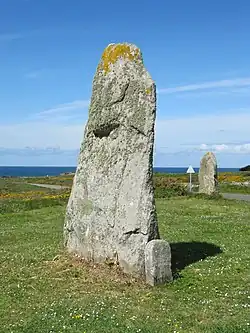 Image illustrative de l’article Menhirs de Mané-Meur