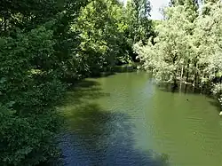 Le Merdanson en amont du pont de Lous.