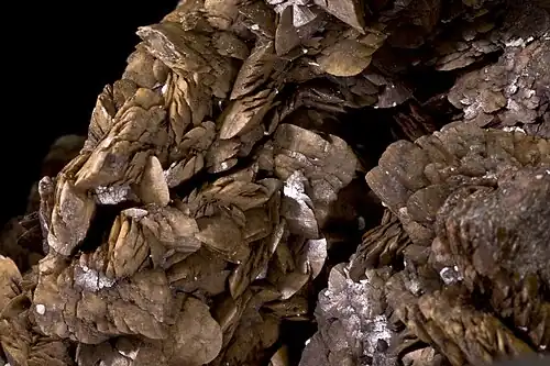 Mésitite - Traversella, Piemont, Italie (X × 8&nbsp;mm).