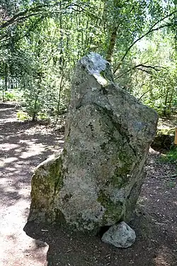 Image illustrative de l’article Site mégalithique de la Lande du Gras