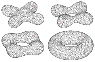 metamorphoses between two implicit surfaces (torus and a constant distance product surface)
