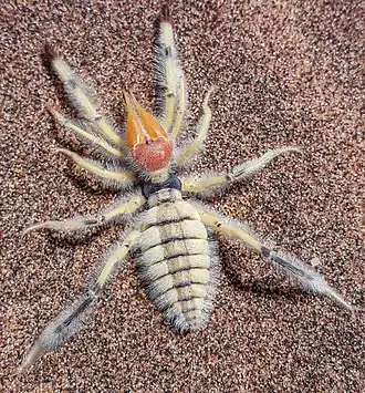 Description de cette image, également commentée ci-après